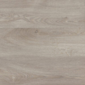 Elegant Medium Grey #B564