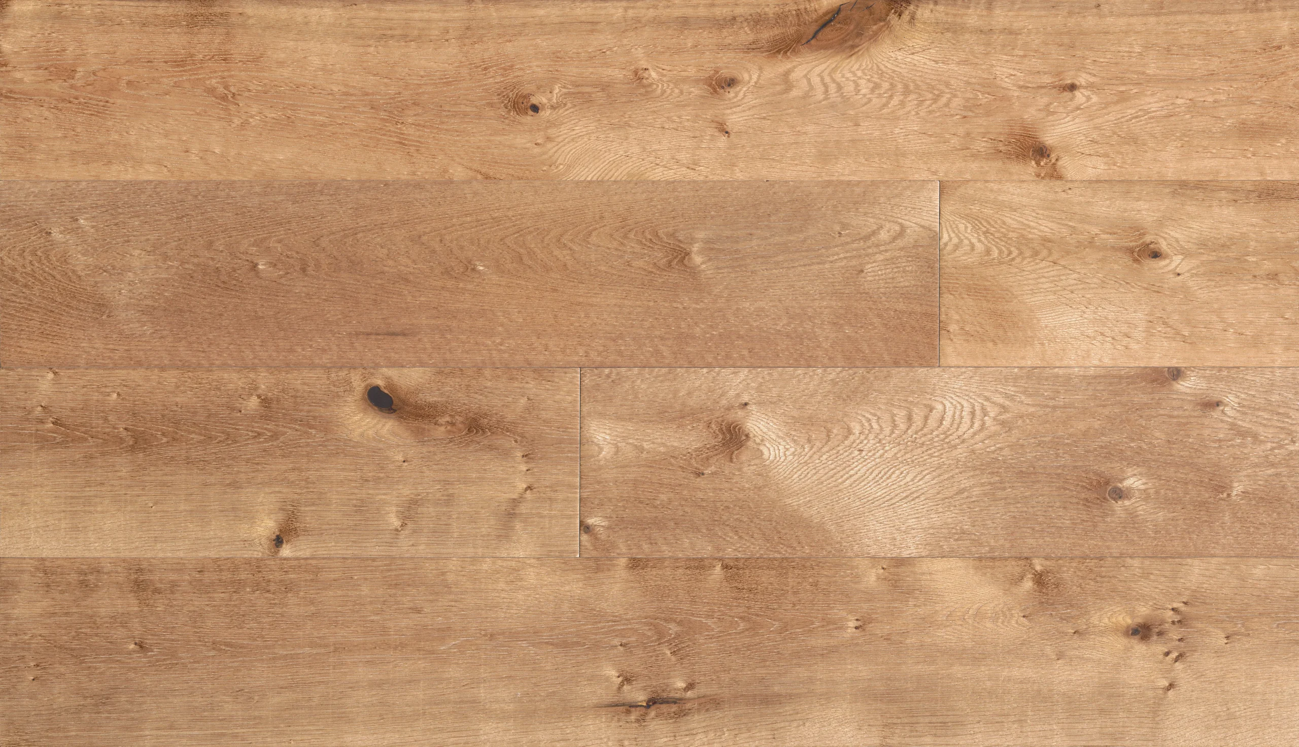 Fuzion Galileo from the Nouveau Renaissance Collection