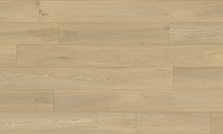 Fuzion Moderna from the Canvas Collection