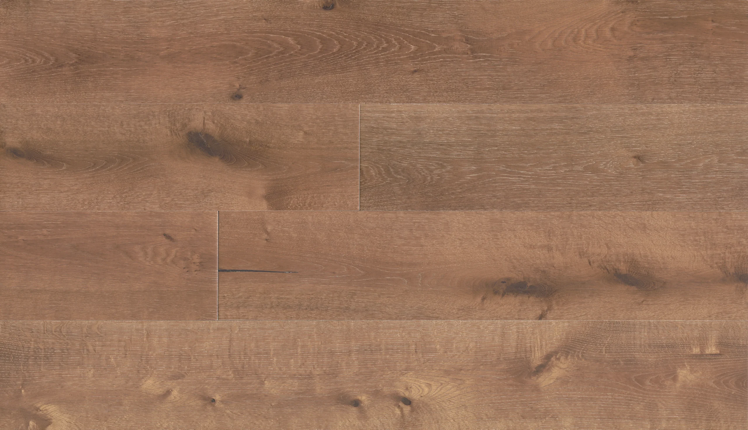 Fuzion Mourning Dove from the Nouveau Renaissance Collection