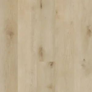 Biyork Quake from the Traktion Collection