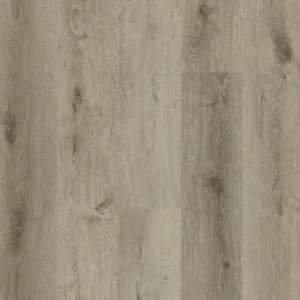 Biyork Silverbolt from the Traktion Collection