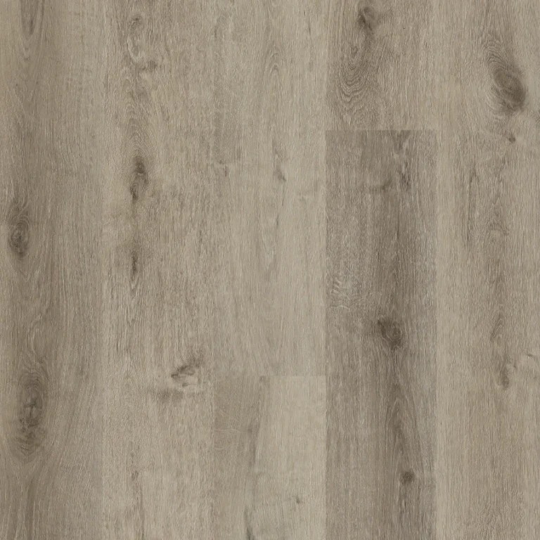 Biyork Silverbolt from the Traktion Collection