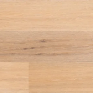 Fuzion Symphony from the Classical Elegance Collection