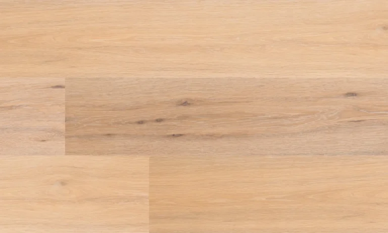Fuzion Symphony from the Classical Elegance Collection
