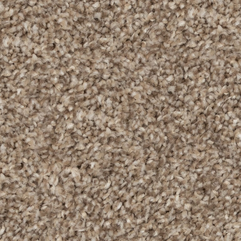 Beaulieu Cosy Ambiance #J4753 from the Tryesse Collection
