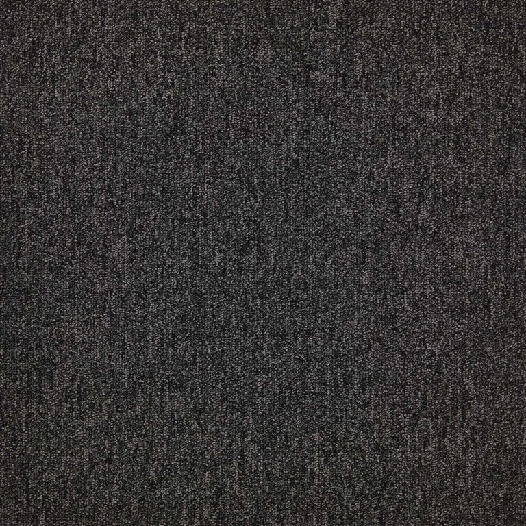 First Forward-Stk #T24S