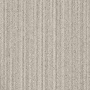 First Streamline #T26