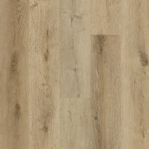Biyork Trailbreak from the Traktion Collection