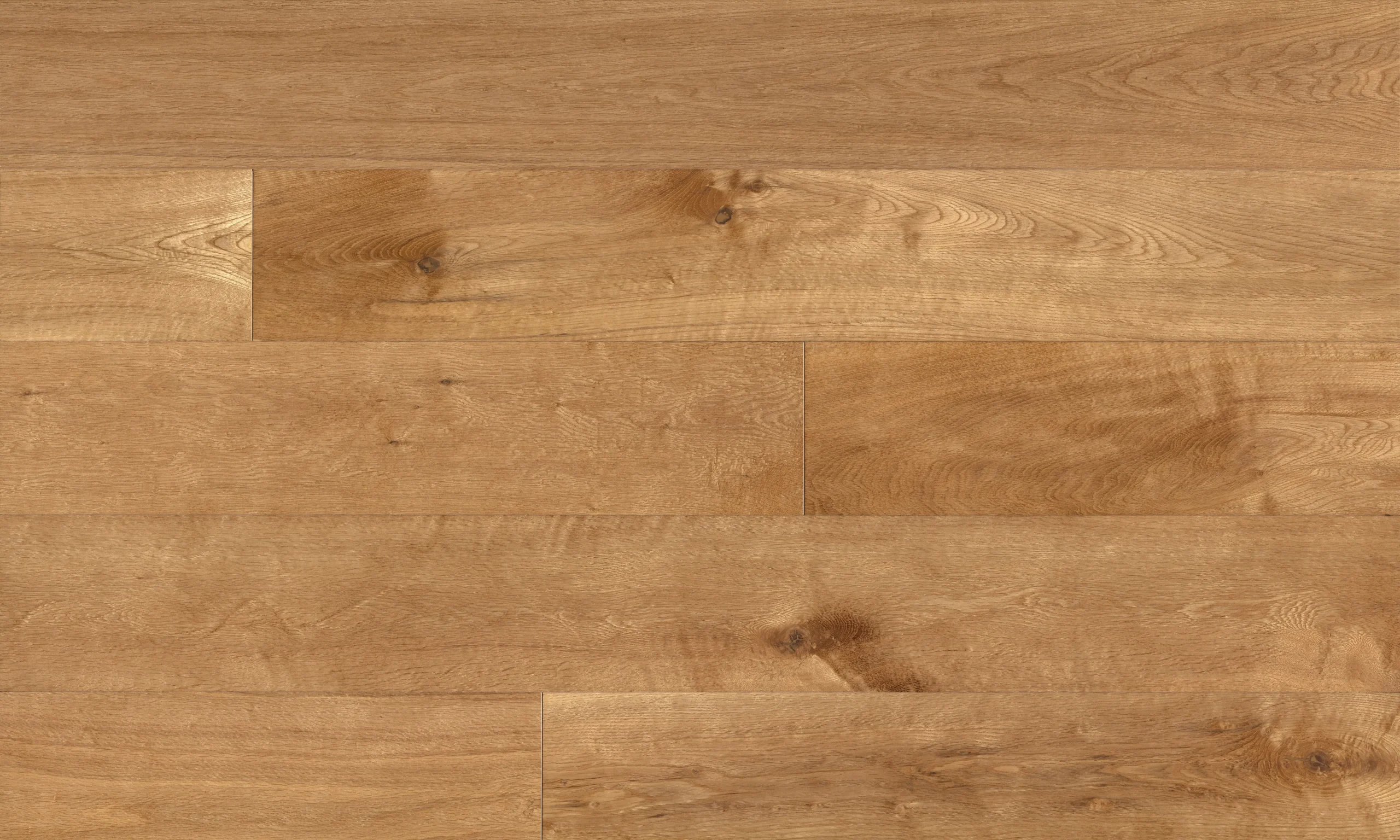 Fuzion Visage from the Expressions Collection