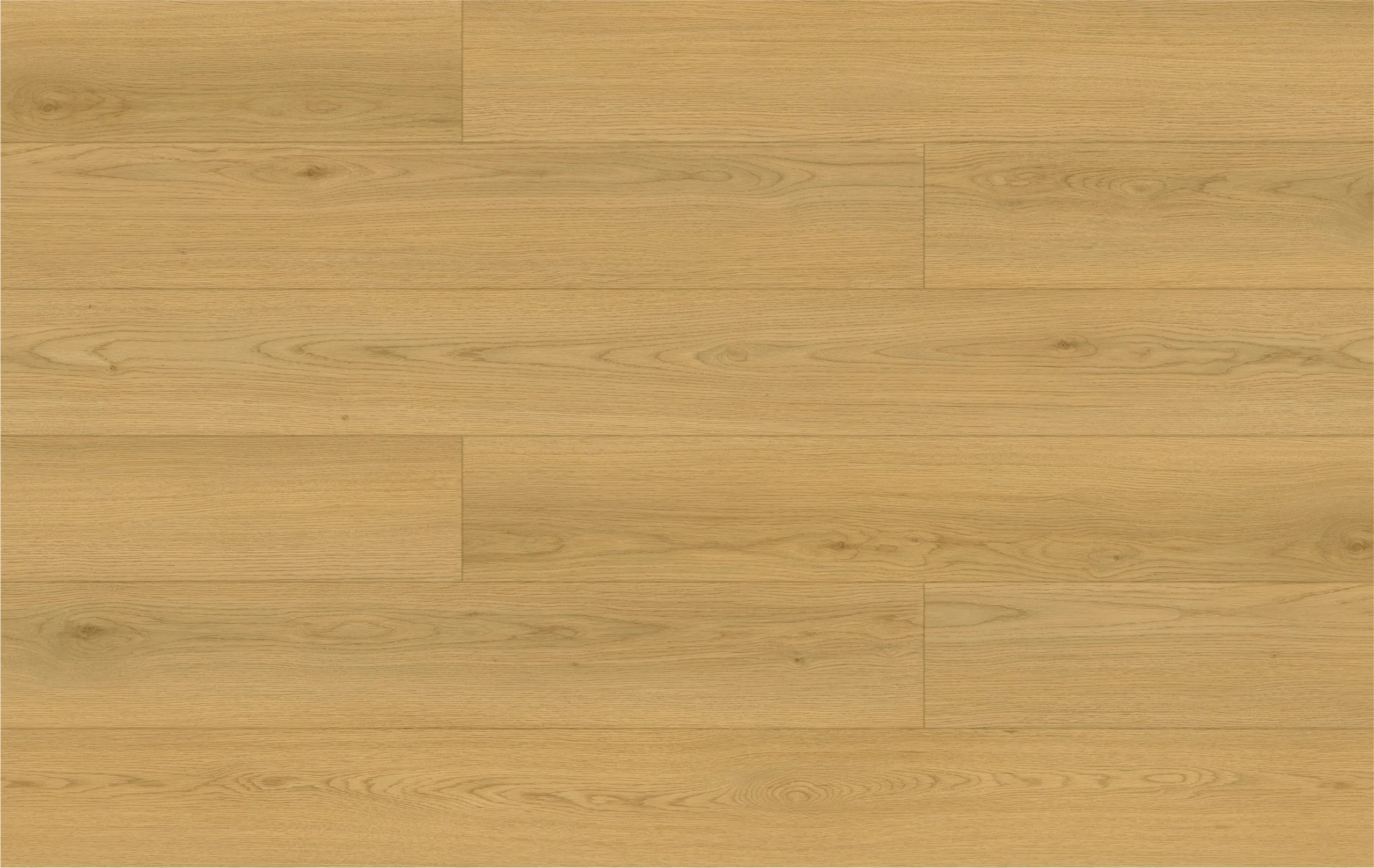 Fuzion Clam Shell Oak from the Waterfront Collection