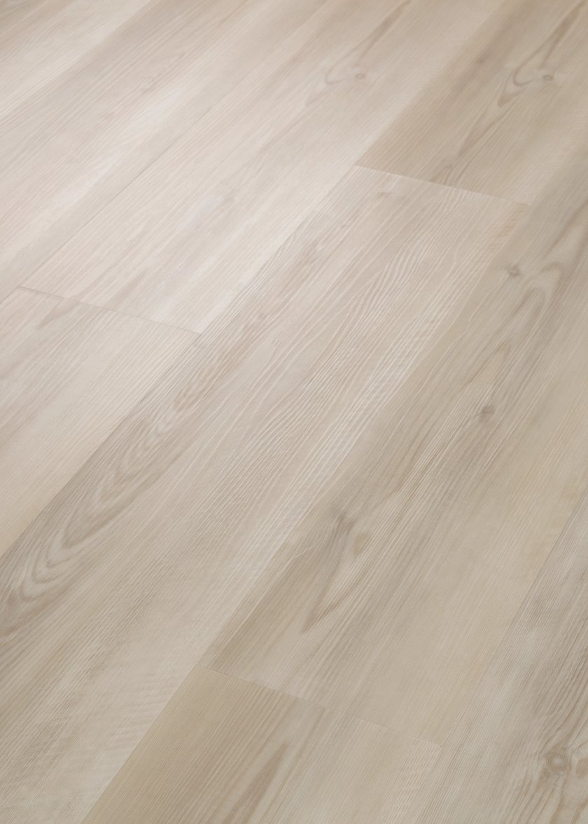 Amelia Island 01223 By Shaw Floors