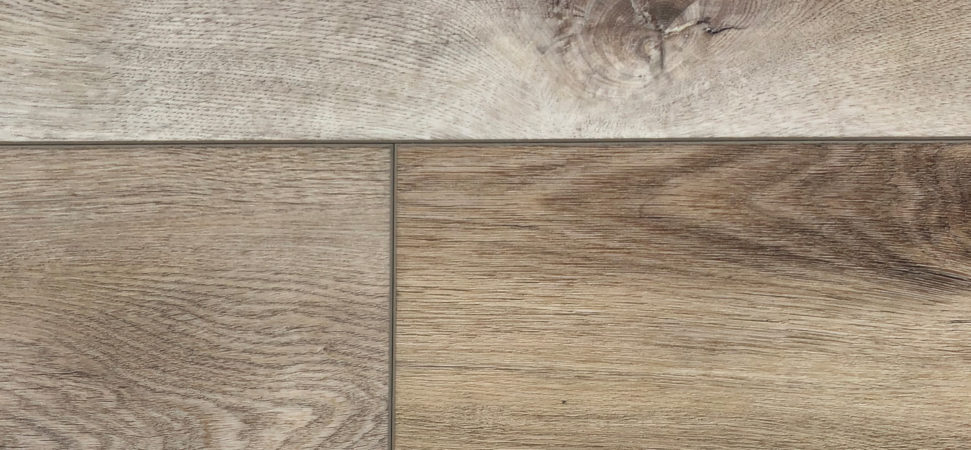 Countryside RECS2101 Eastern Cottonwood By Stevens Omni
