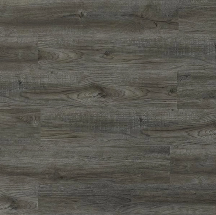 TFSPC303-F Orchestra By Toucan