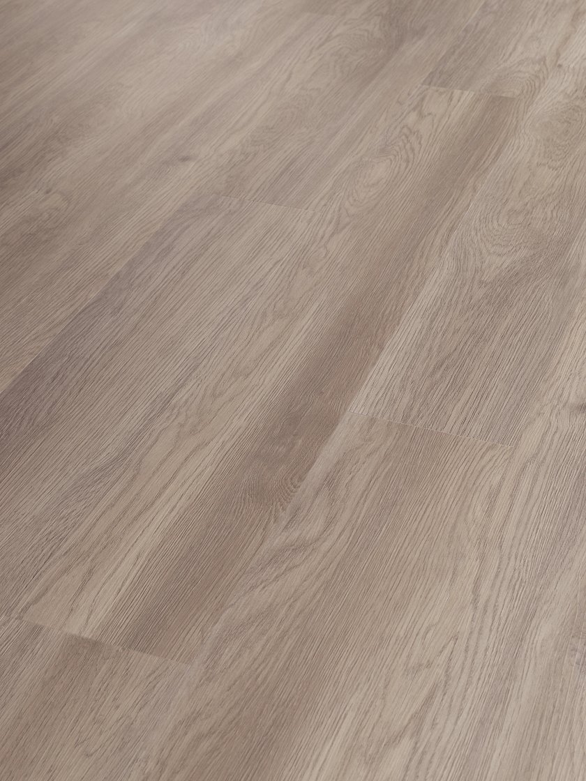 Salt River 02028 By Shaw Floors