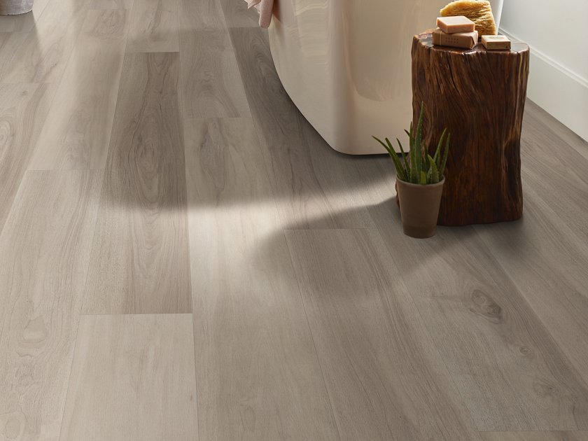 Renewed Hickory 05176 By Shaw Floors - Image 2