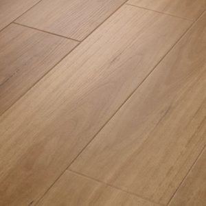 Golden Shores 02110 By Shaw Floors