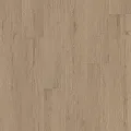 Cabet Trails 07351 By Shaw Floors