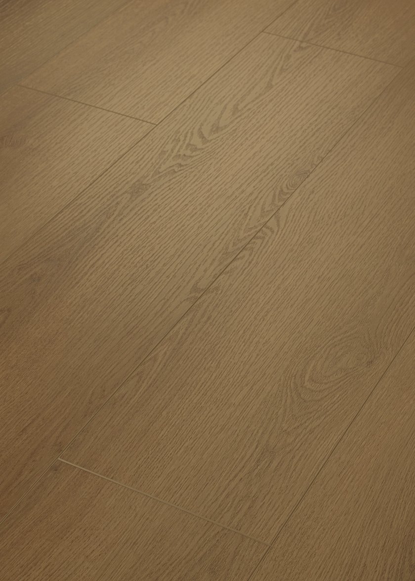 Rich Cocoa 07328 By Shaw Floors
