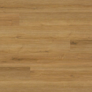 Amber Forrester Everlife XL Prescott By MSI