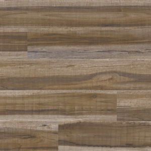 Exotika Everlife Cyrus By MSI