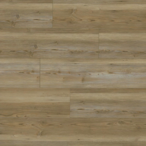 Brookings Forrester Everlife Cyrus By MSI