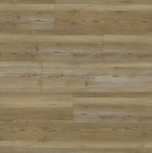 Brookings Forrester Everlife Cyrus By MSI