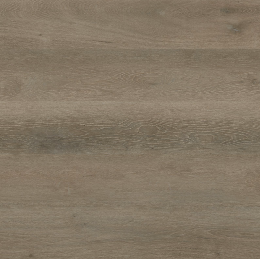 Cranton Everlife Cyrus By MSI