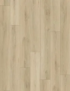 Phoebe Vanntett Plus By Canadian Standard