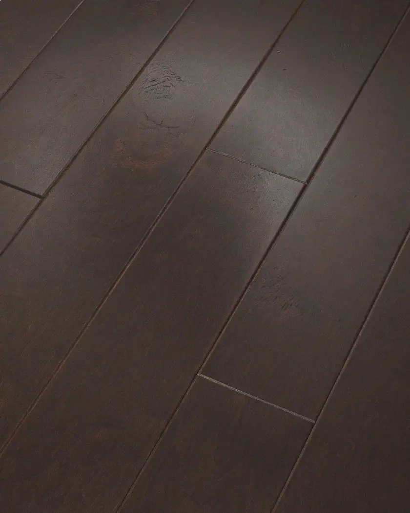 Conway 00698 Repel By Shaw Floors