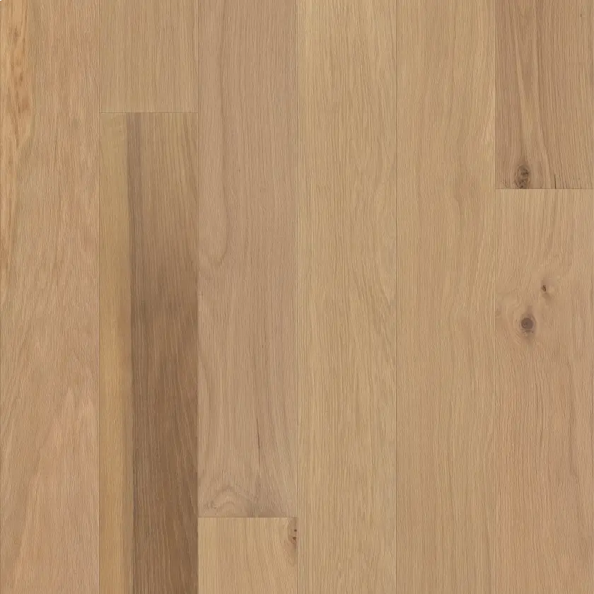 Ethos 02079 Repel By Shaw Floors