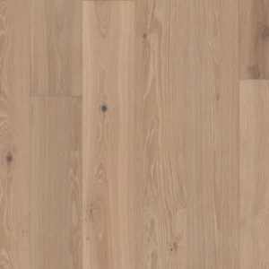 Applique 01146 The Gallery Collection By Shaw Floors