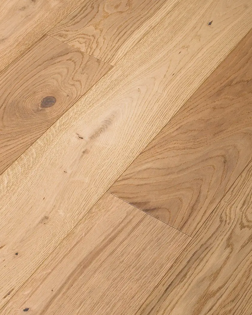 Harmony 02050 The Gallery Collection By Shaw Floors