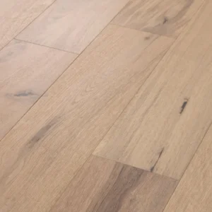 Renaissance 01070 The Gallery Collection By Shaw Floors