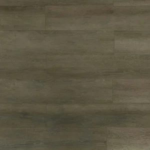 TF6305-F Black Forest By Toucan