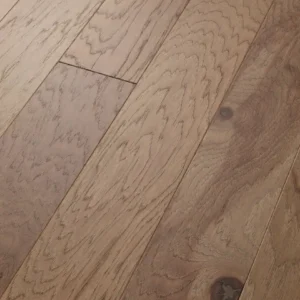 Burlap 02026 EPIC Plus By Shaw Floors