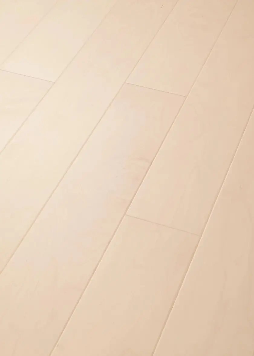 Americana 01041 EPIC Plus By Shaw Floors