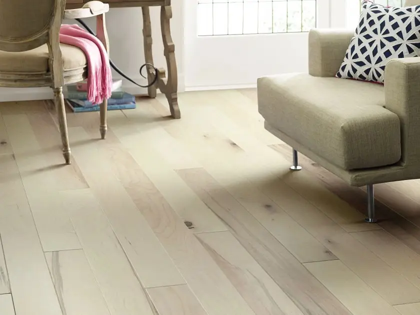 Americana 01041 EPIC Plus By Shaw Floors - Image 2