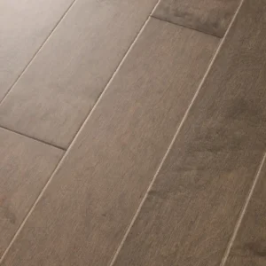 Mid-Century 05058 EPIC Plus By Shaw Floors