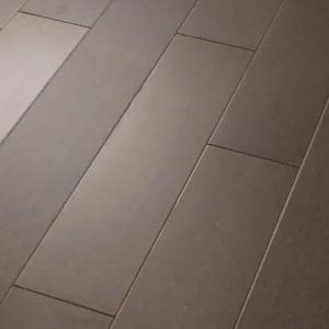 Antebellum 07040 EPIC Plus Shaw Floors