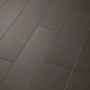 Contemporary 09028 EPIC Plus By Shaw Floors