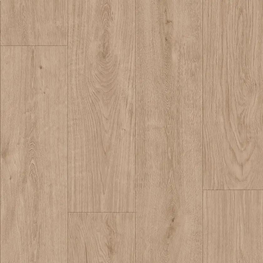 Butterscotch 02218 By Shaw Floors