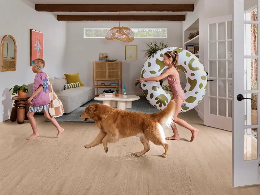 Butterscotch 02218 By Shaw Floors - Image 2