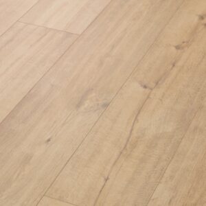 Sand Dune Beige 05066 By Shaw Floors