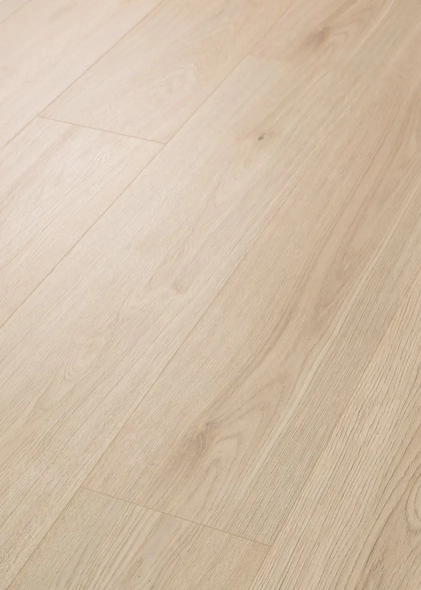 Coconut Grove 01051 By Shaw Floors