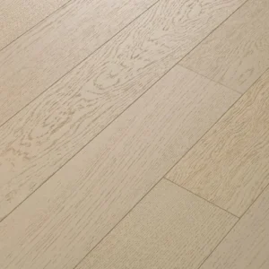 Astor 01007 The Gallery By Shaw Floors