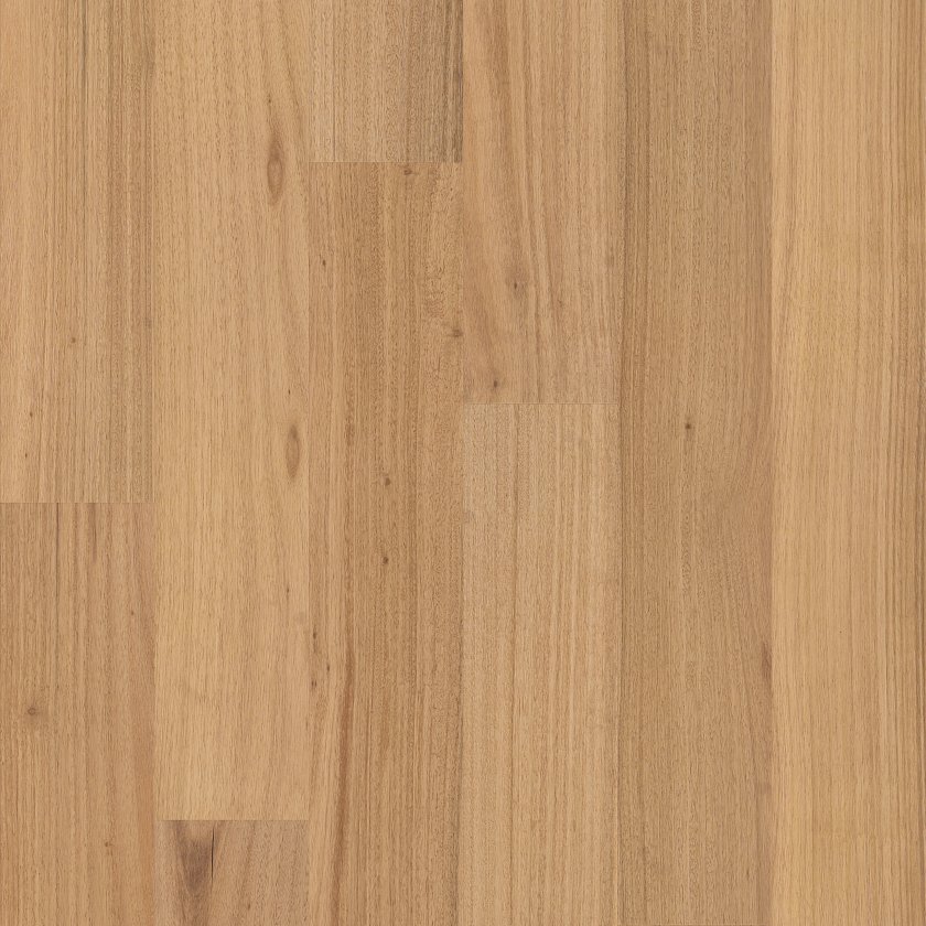 Sundrift 01177 No Collection By Shaw Floors