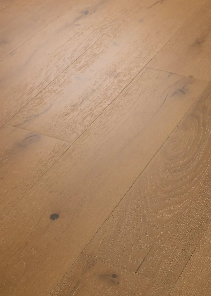 Baroque 05031 Shaw Engineered Hardwoods By Shaw Floors