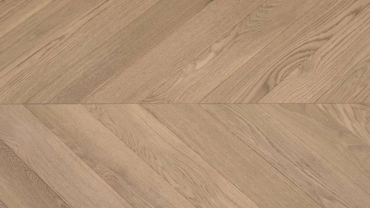 American Oak 5 Chevron Collection-Macaroon By Vidar Flooring
