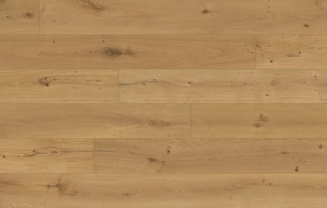 Aurora Breeze TruNorth Collection By Fuzion